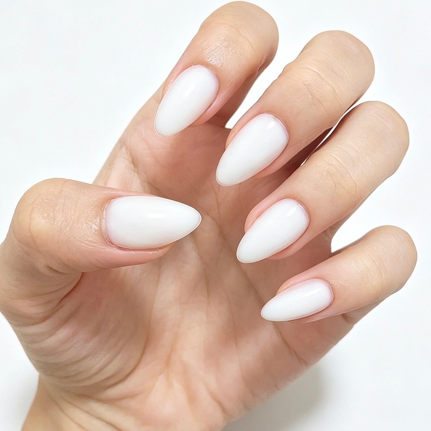 Coconut Milk