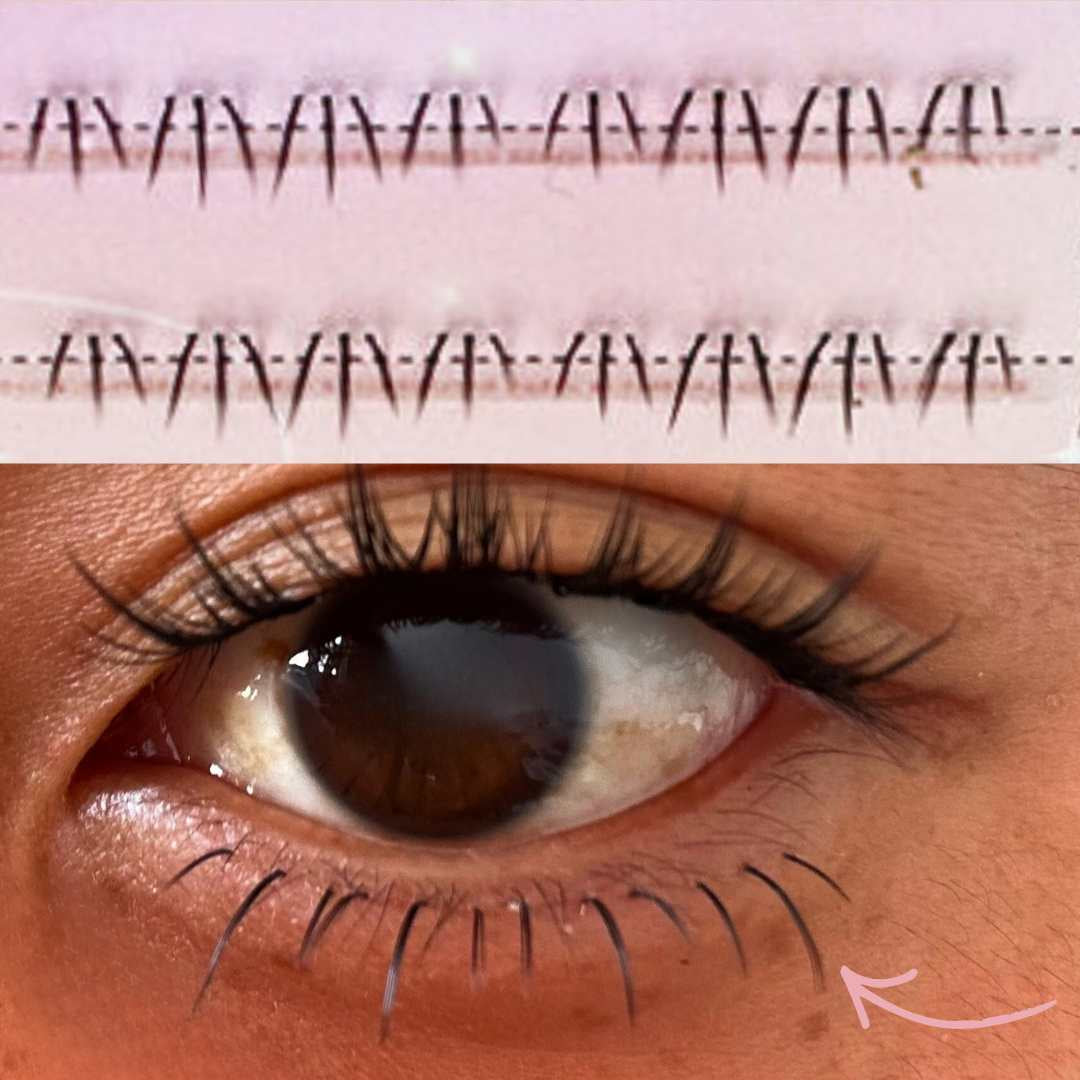 Kitten Klaw (Bottom Lashes)